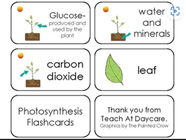 GCSE Help3